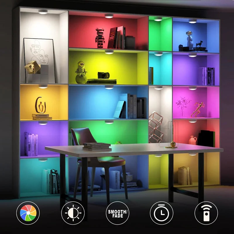 Dumiloo Rechargeable Magnetic Picture Light With Remote Control