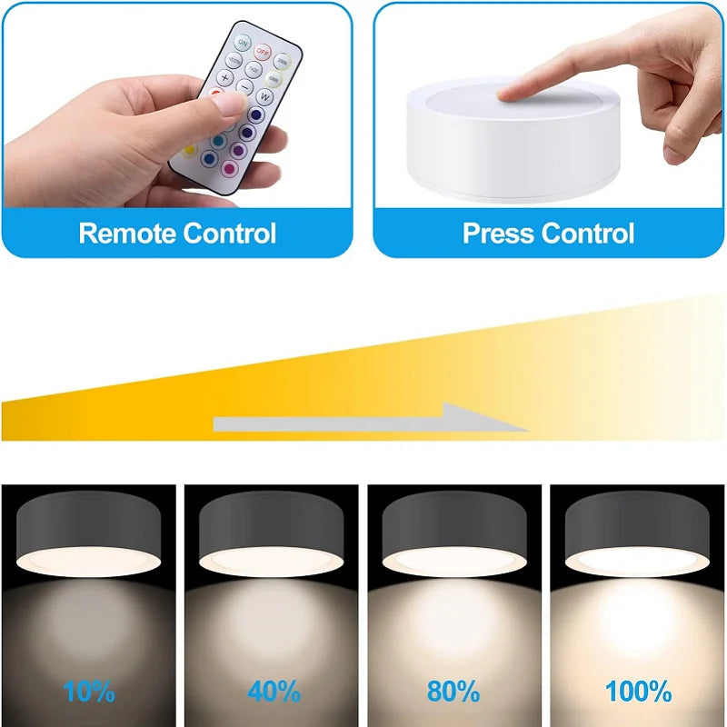 Dumiloo Rechargeable Magnetic Picture Light With Remote Control