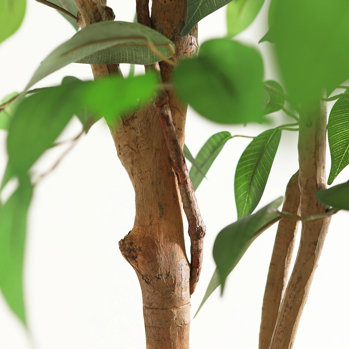 Dr Planzen Artificial Ficus Tree With Natural Trunk And Leaves