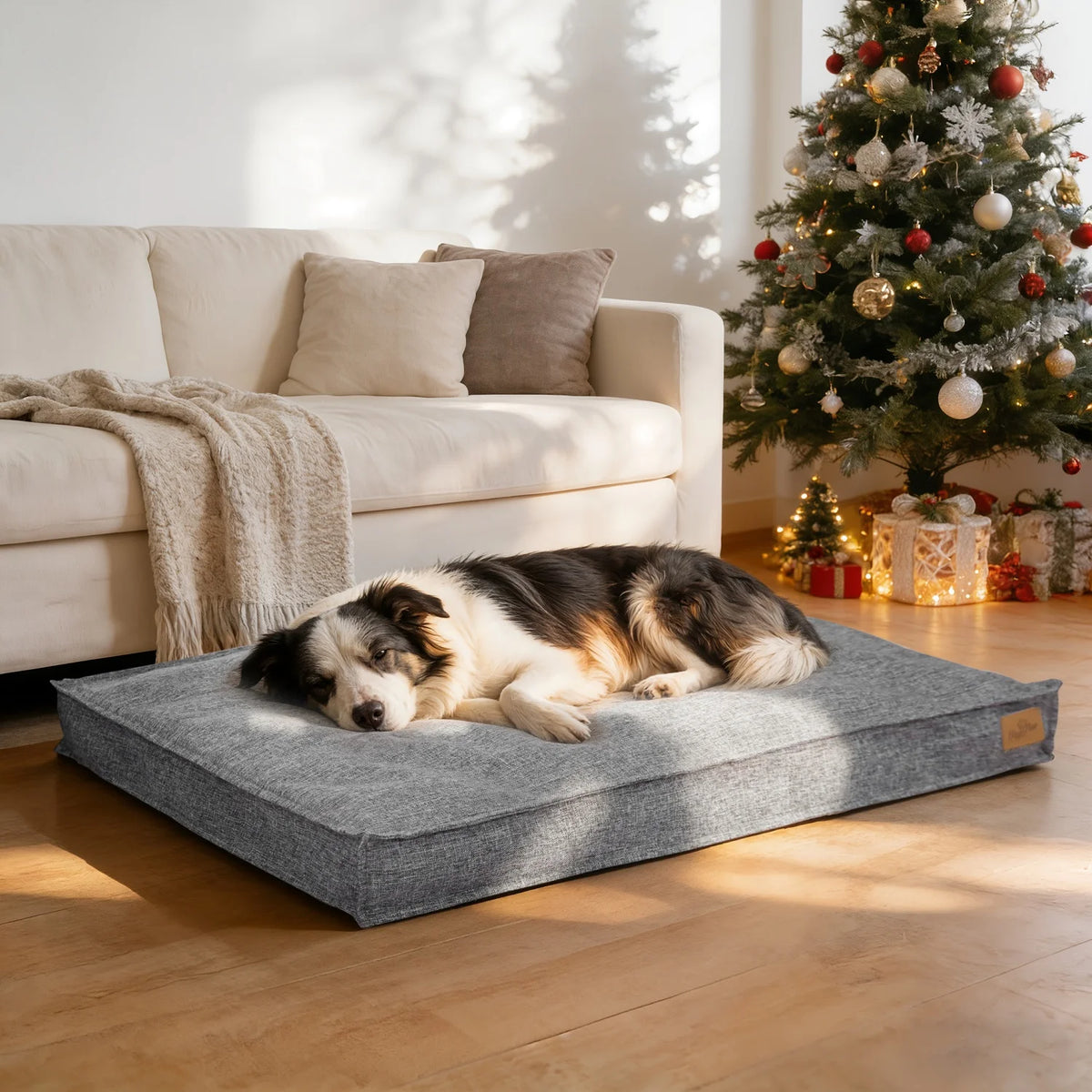 Bingopaw Waterproof Cotton Dog Bed With Foam Base Support