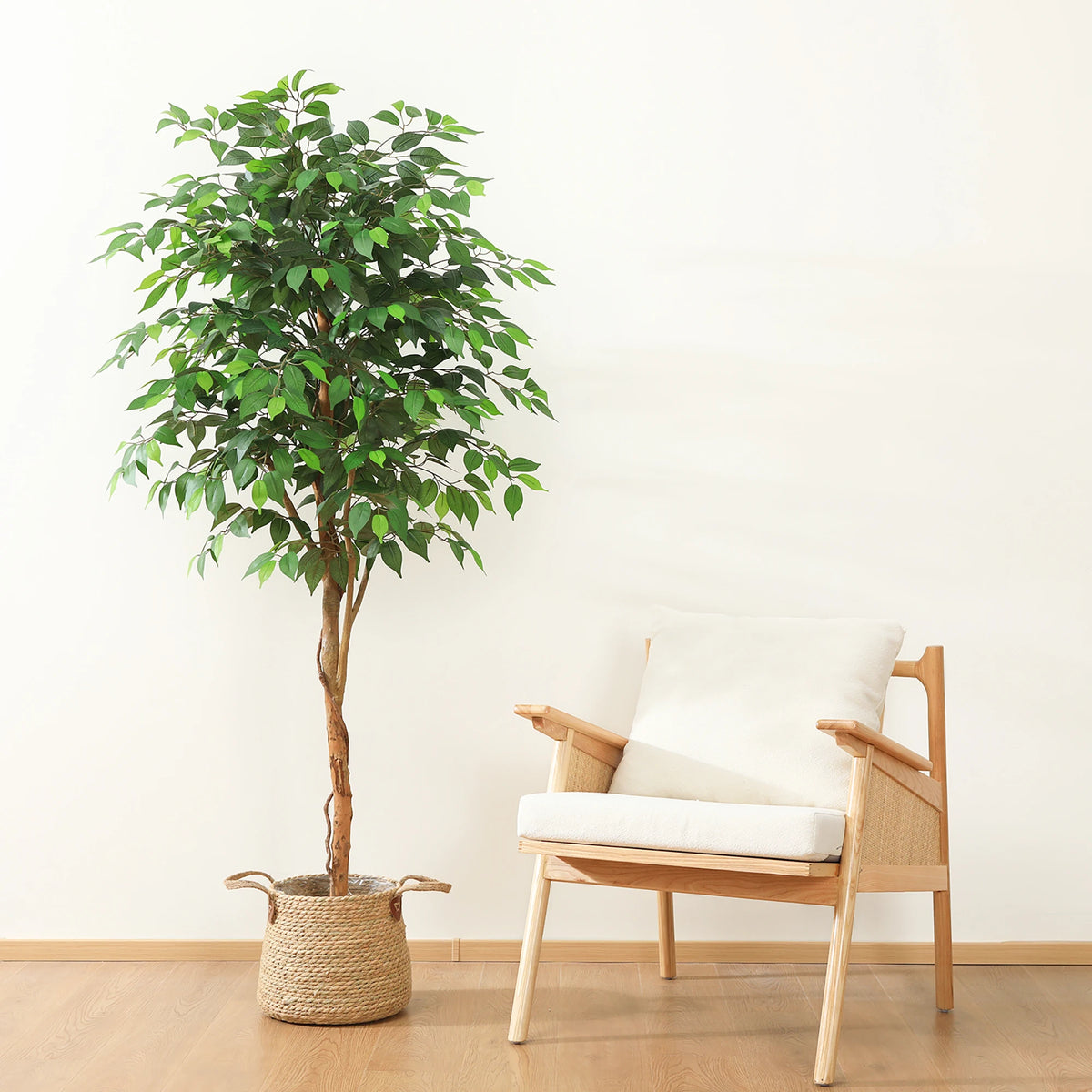 Dr Planzen Artificial Ficus Tree With Natural Trunk And Leaves