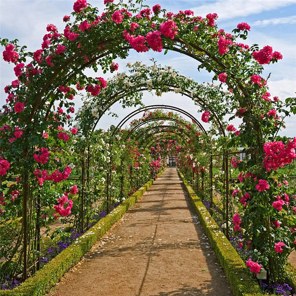 Heavy Duty Metal Garden Arch With Powder Coated Outdoor Frame