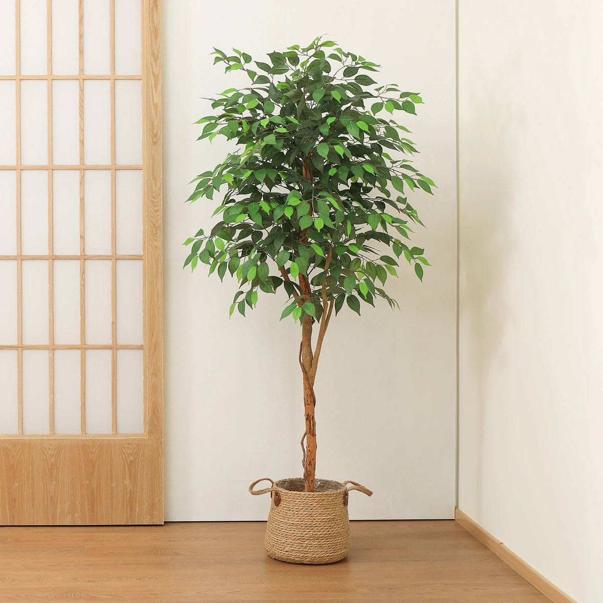 Dr Planzen Artificial Ficus Tree With Natural Trunk And Leaves